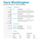 Gary's Blue Professional Resume - Washington D.C